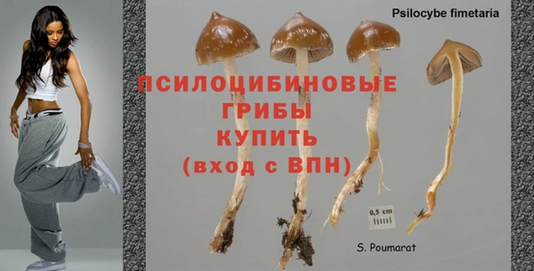 гидра Дмитров