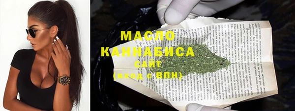 прущий лед Дмитриев