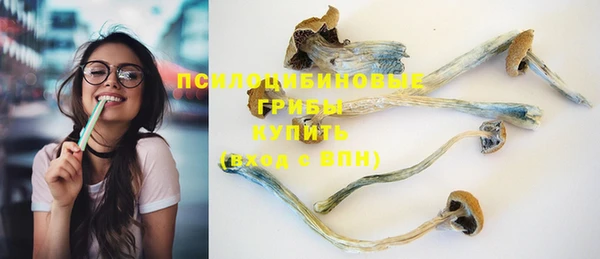 соль ск Елабуга