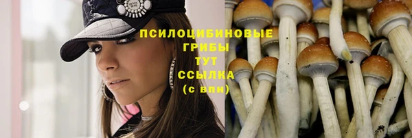 прущий лед Дмитриев