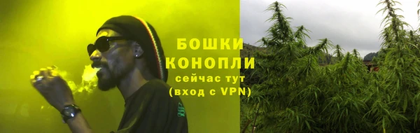гидра Дмитров