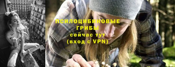 прущий лед Дмитриев