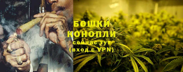 прущий лед Дмитриев