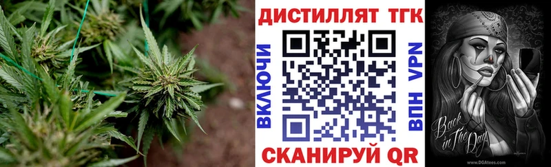 Дистиллят ТГК гашишное масло  Купить  Старица 