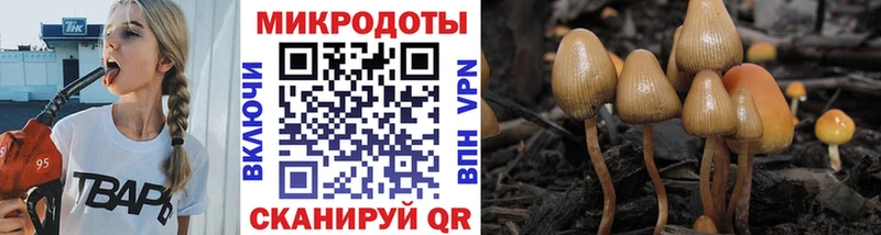 Галлюциногенные грибы ЛСД  Купить где  Старица 